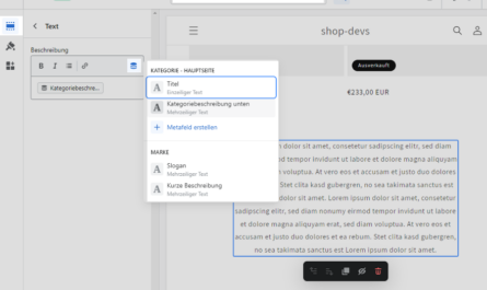 Theme-Editor Kategoriebeschreibung Metafeld