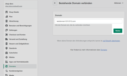 Shopify Domain verbinden