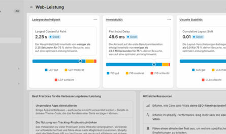 In Shopify Statistik > Berichte > Web-Leistung
