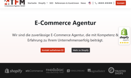 Shopify Agentur finden